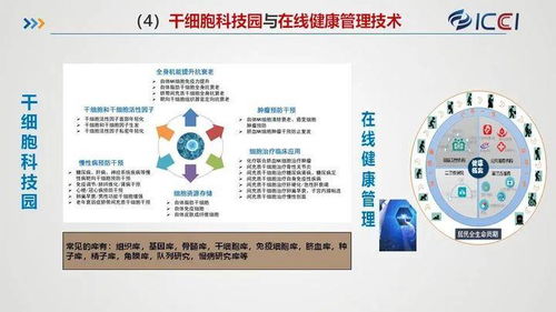 國(guó)合院發(fā)布八大規(guī)劃與產(chǎn)業(yè)化業(yè)務(wù)布局，賦能旅游開發(fā)項(xiàng)目策劃咨詢新篇章