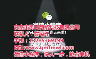 高密網(wǎng)絡(luò)公司專業(yè)推廣與鳳鳴網(wǎng)絡(luò)技術(shù)深度解析 高清視覺營銷賦能旅游開發(fā)項目策劃